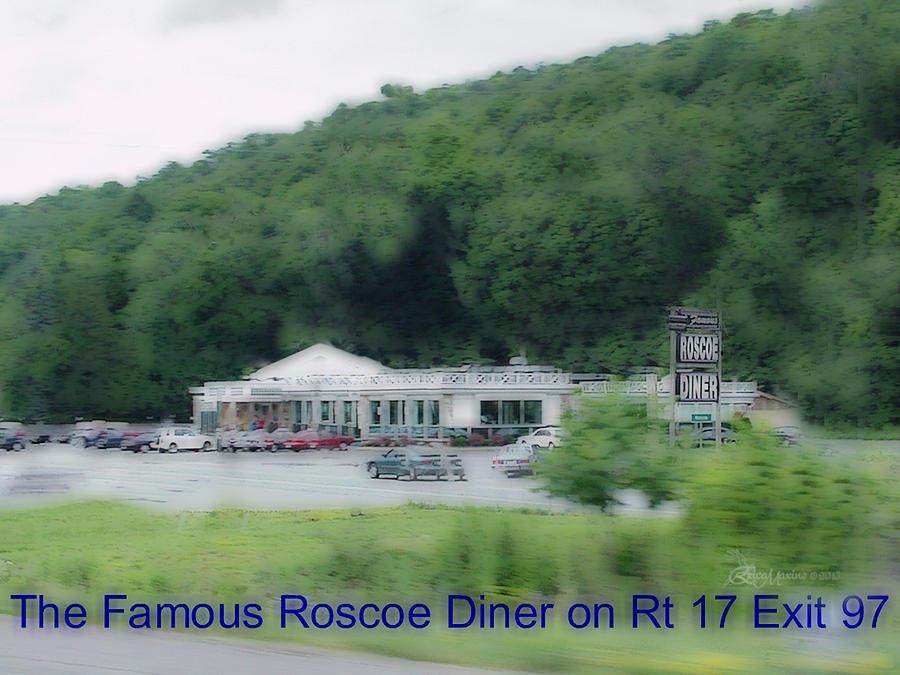 Roscoe Ny Diner Photograph by Ericamaxine Price Fine Art America