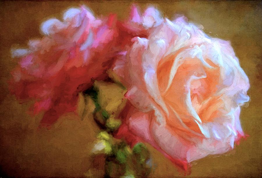 Flower Photograph - Rose 166 by Pamela Cooper
