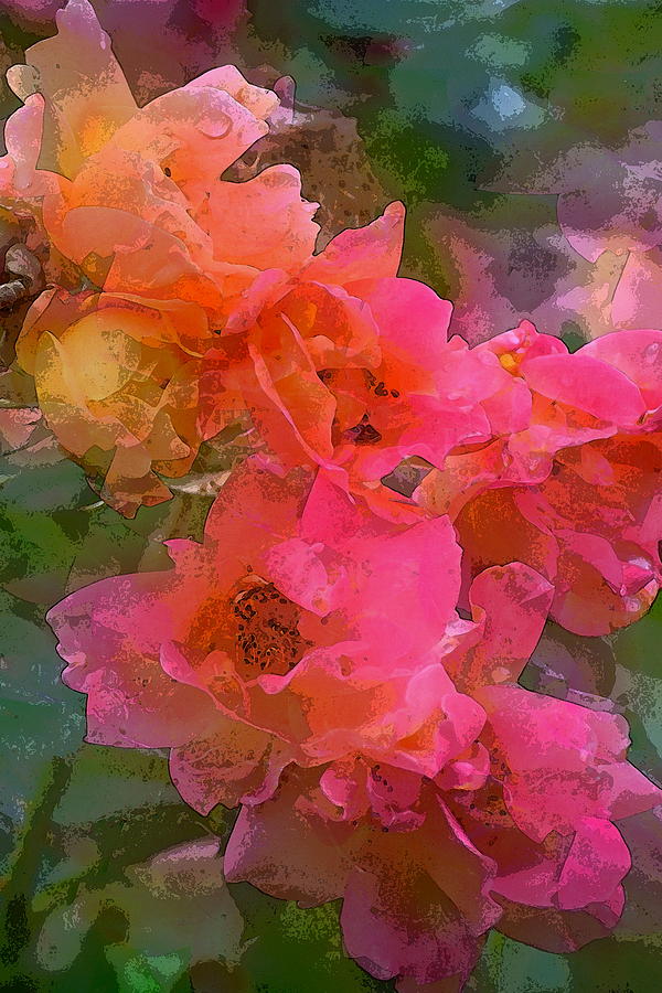Flower Photograph - Rose 219 by Pamela Cooper