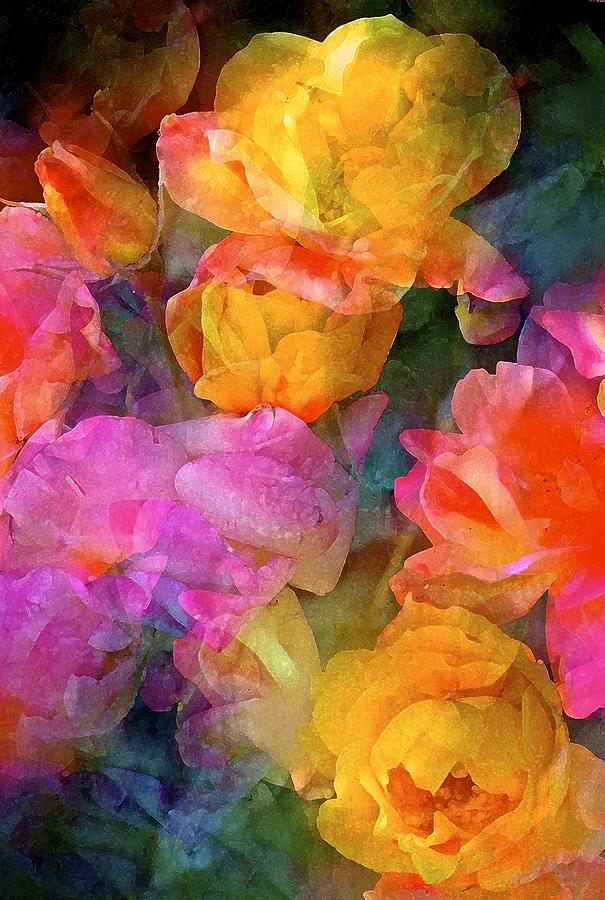 Flower Photograph - Rose 224 by Pamela Cooper