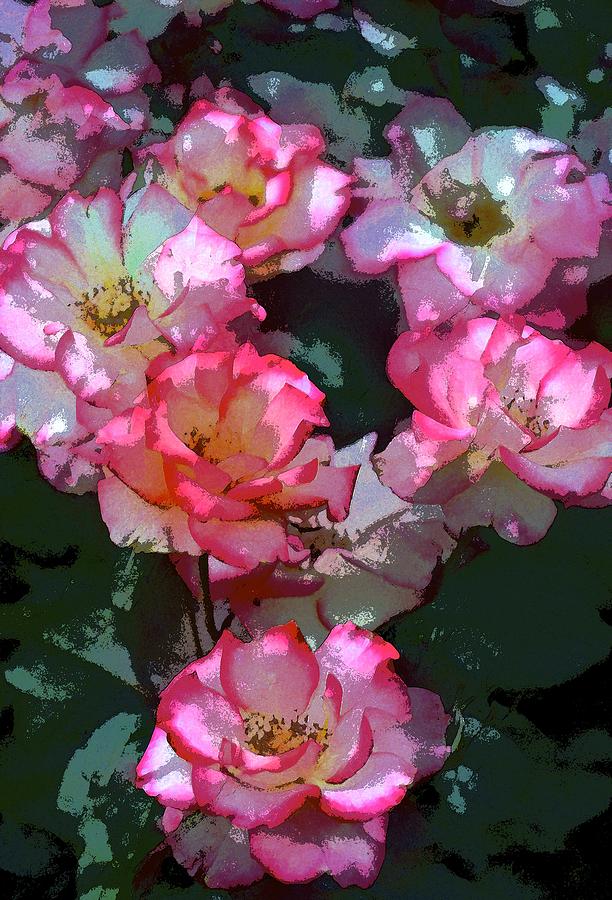 Rose 226 Photograph by Pamela Cooper