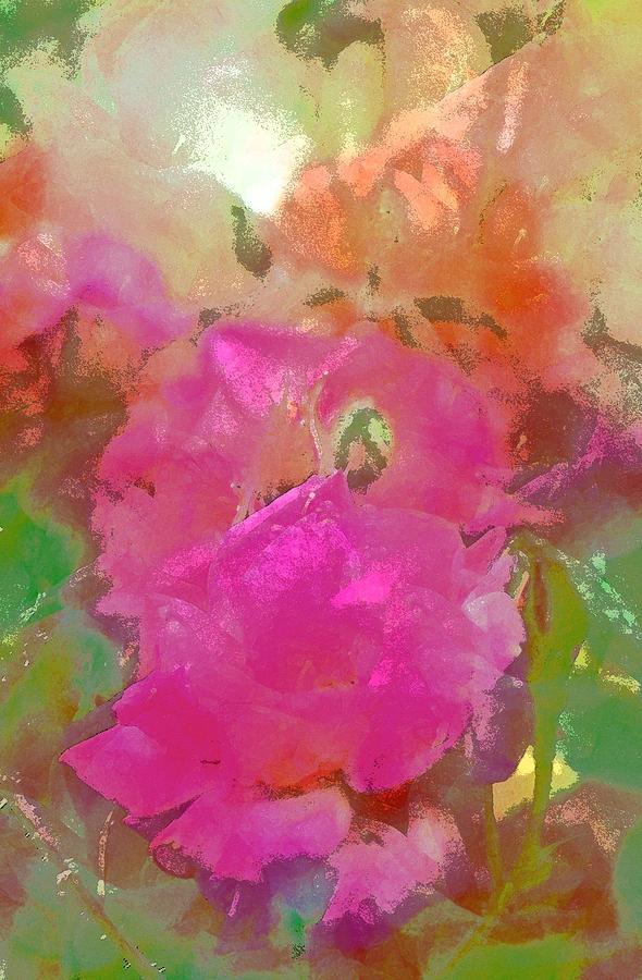 Rose 256 Photograph by Pamela Cooper