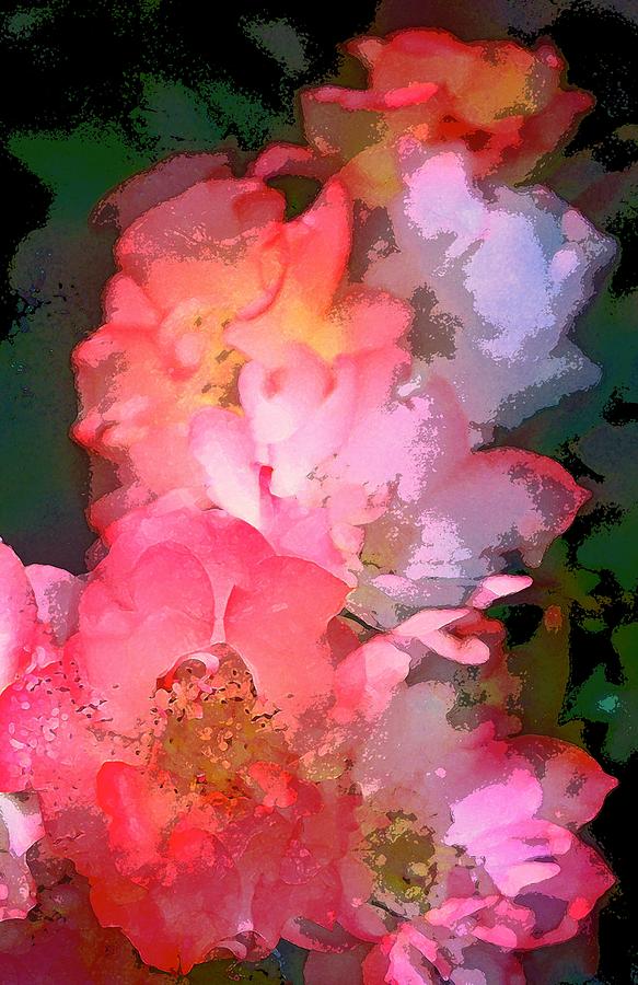 Rose 258 Photograph by Pamela Cooper