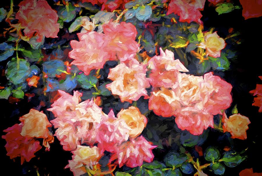 Flower Photograph - Rose 319 by Pamela Cooper