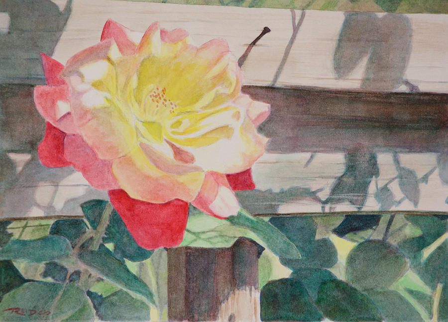 Rose Aglow Painting by Christopher Reid