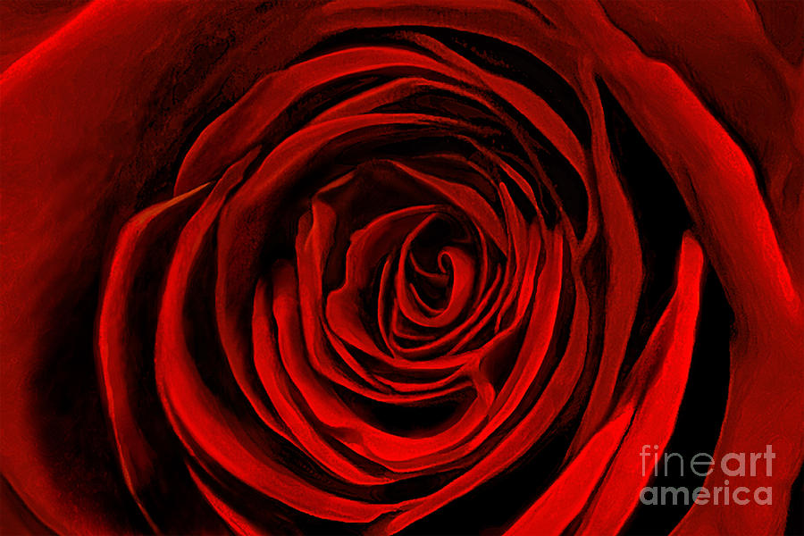 Flower Mixed Media - Rose by Alan Greene