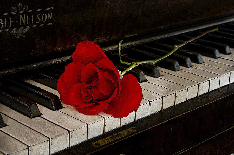 Rose and Piano Photograph by Larry Goss