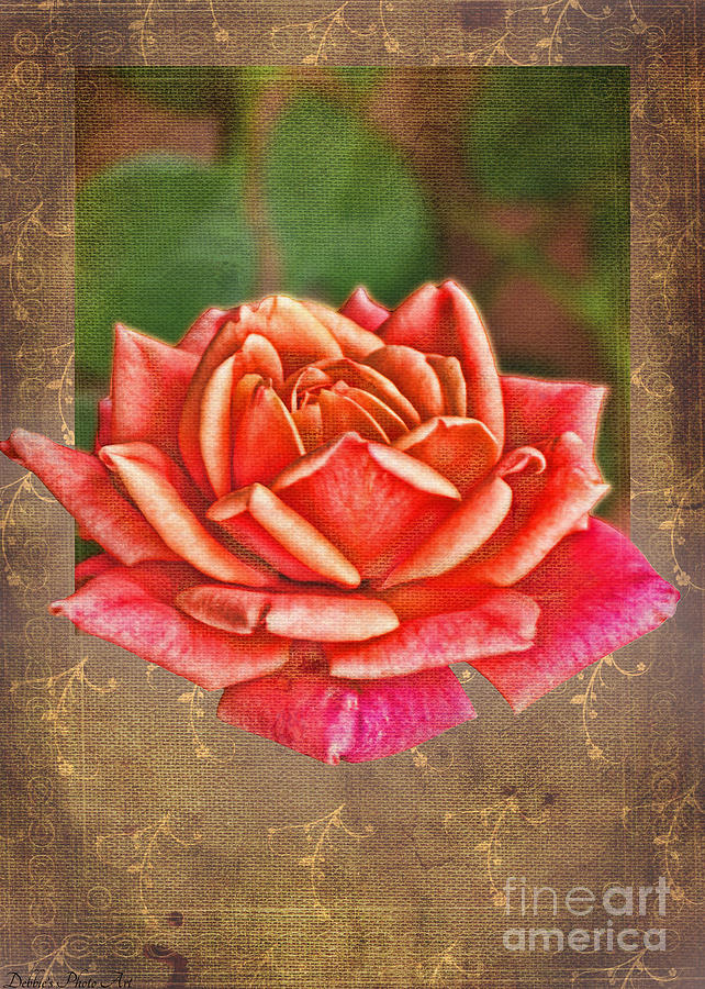 Rose blank greeting card Photograph by Debbie Portwood