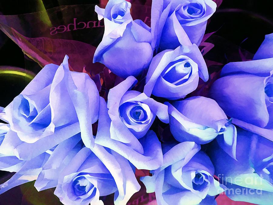 Rose Blue Blush Artistic Photograph by Saundra Myles