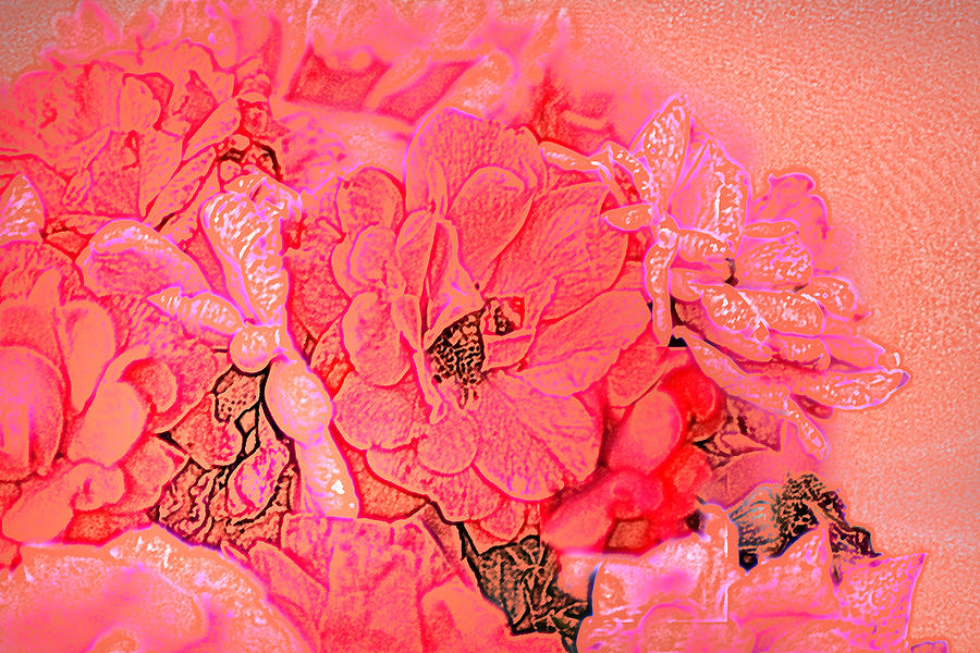 Rose Bouquet Digital Art by Kathleen Stephens
