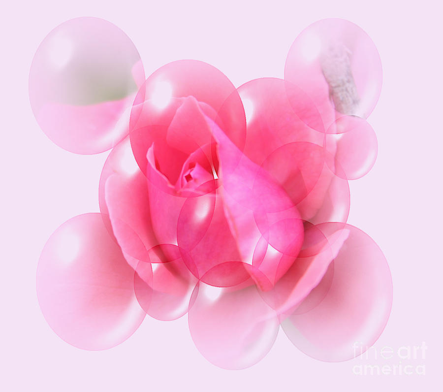 Rose Bubble Abstract Photograph by Judy Palkimas