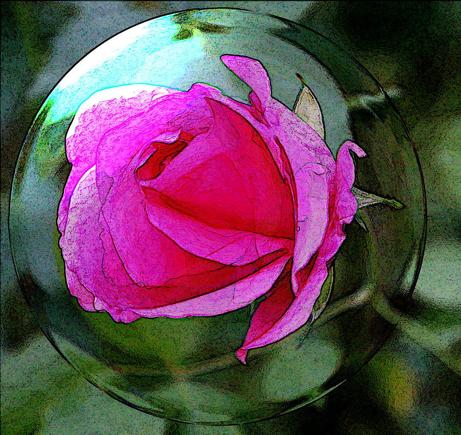 Rose bubble Digital Art by Carrie OBrien Sibley