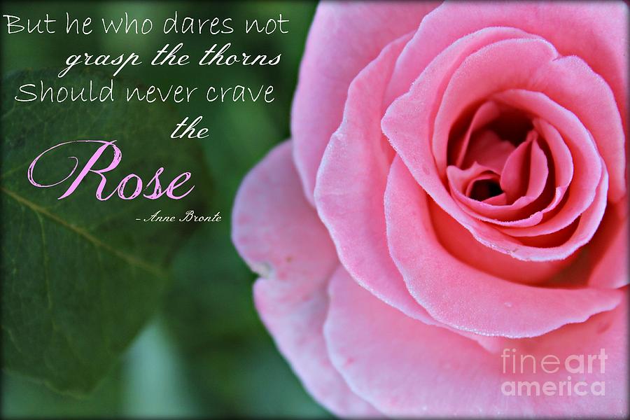 Rose Photograph - Rose by Clare Bevan