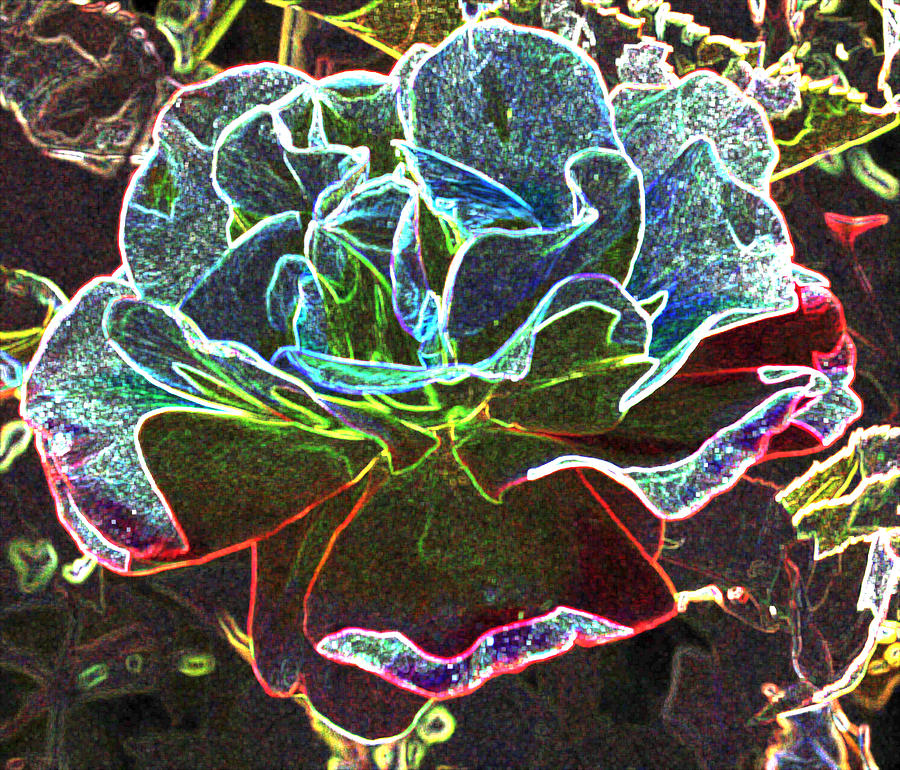 Rose Colorized Outline Photograph by Linda Brody
