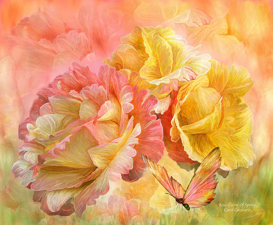 Rose - Colors Of Spring Mixed Media by Carol Cavalaris