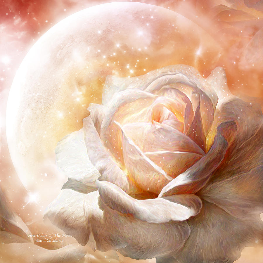 Rose - Colors Of The Moon Mixed Media by Carol Cavalaris