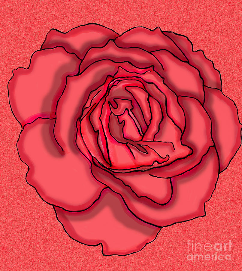 Drawing style of group of red rose flower be arrange in heart shape on  white background Stock Photo - Alamy