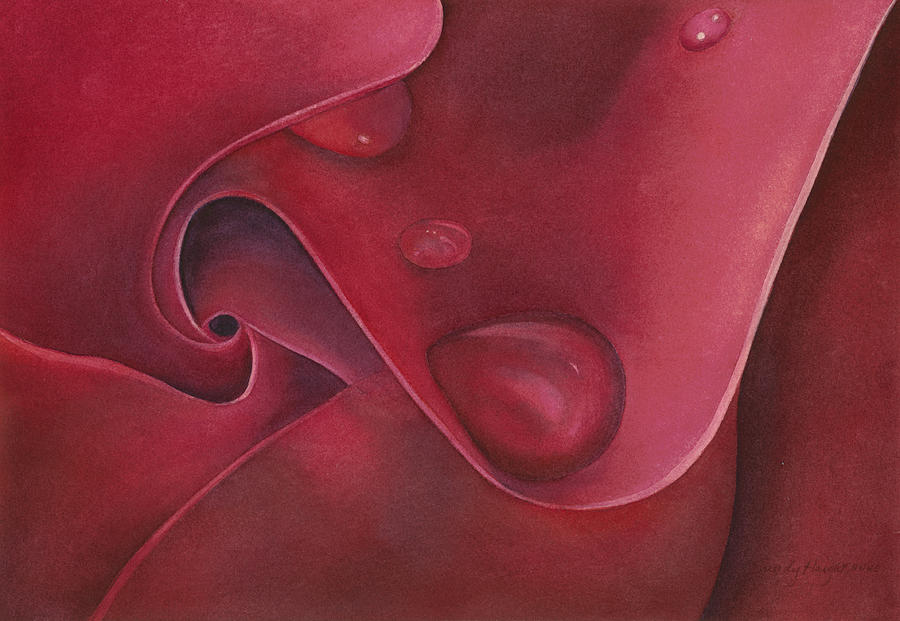 Rose Painting - Rose Drop by Sandy Haight