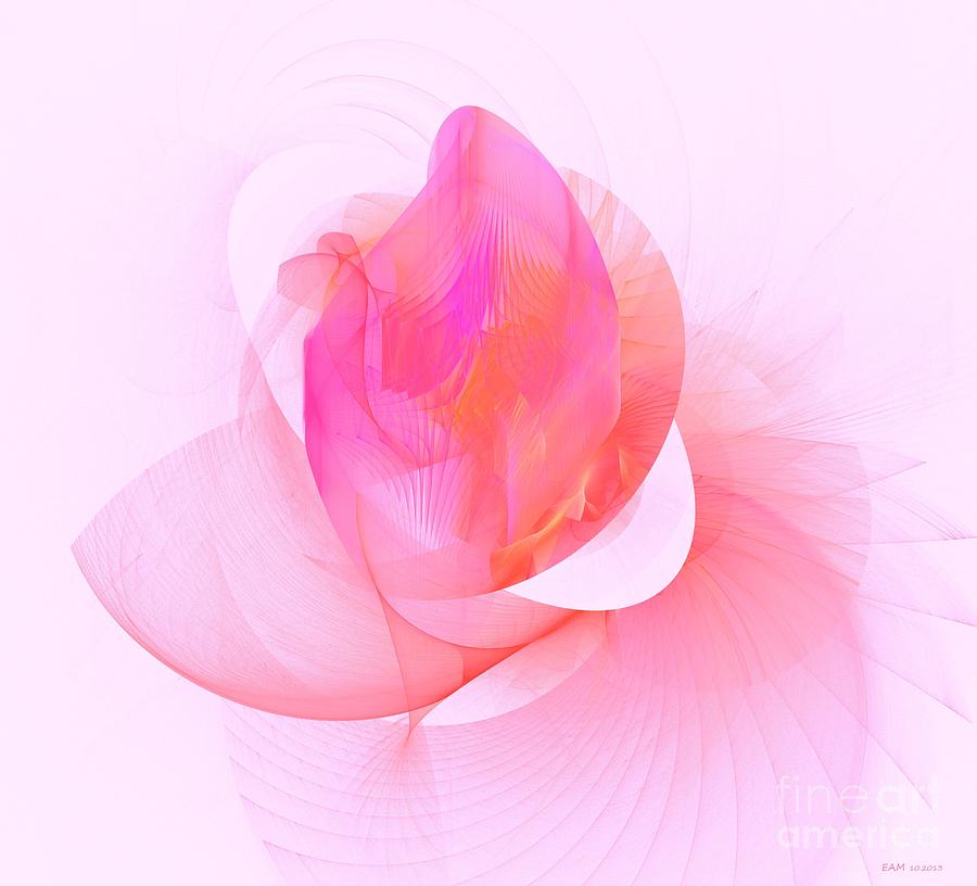 Abstract Digital Art - Rose by Elizabeth McTaggart
