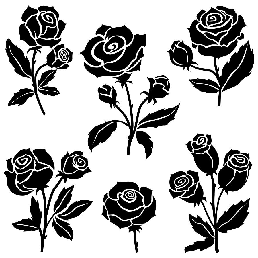 Rose flowers Collection Drawing by Jobalou