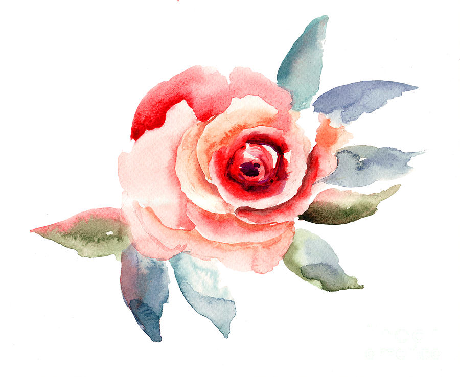 Rose flowers illustration Painting by Regina Jershova