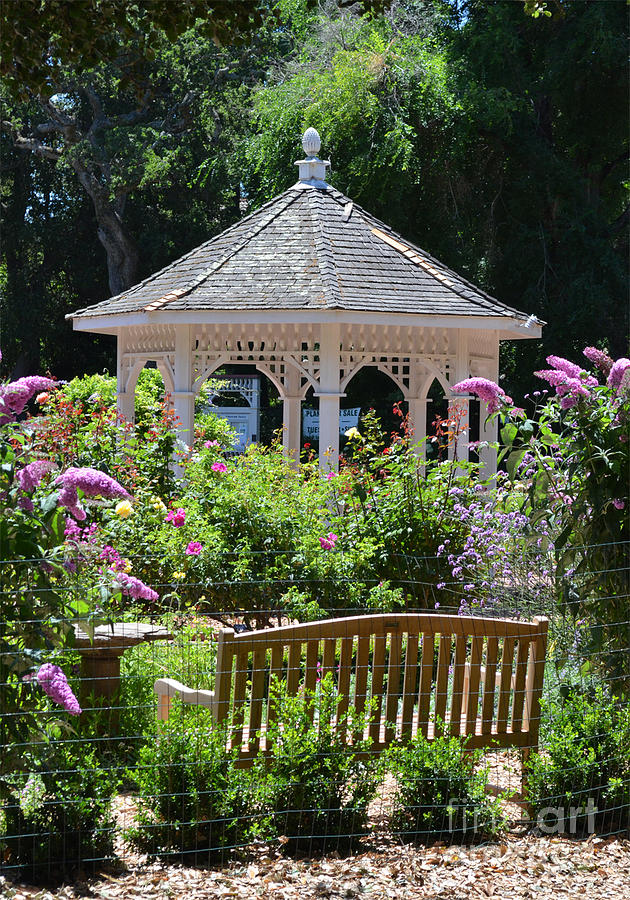 Rose Garden and Gazebo at Central Park in San Mateo CA Photograph by Jim Fitzpatrick