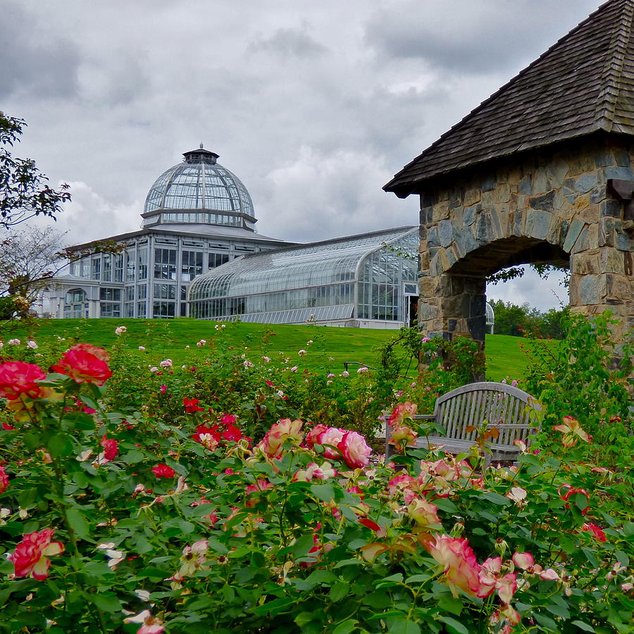 Rose Garden at Lewis Ginter Photograph by Jean Wright
