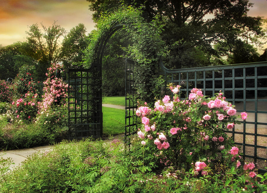 Spring Photograph - Rose Garden Gate by Jessica Jenney