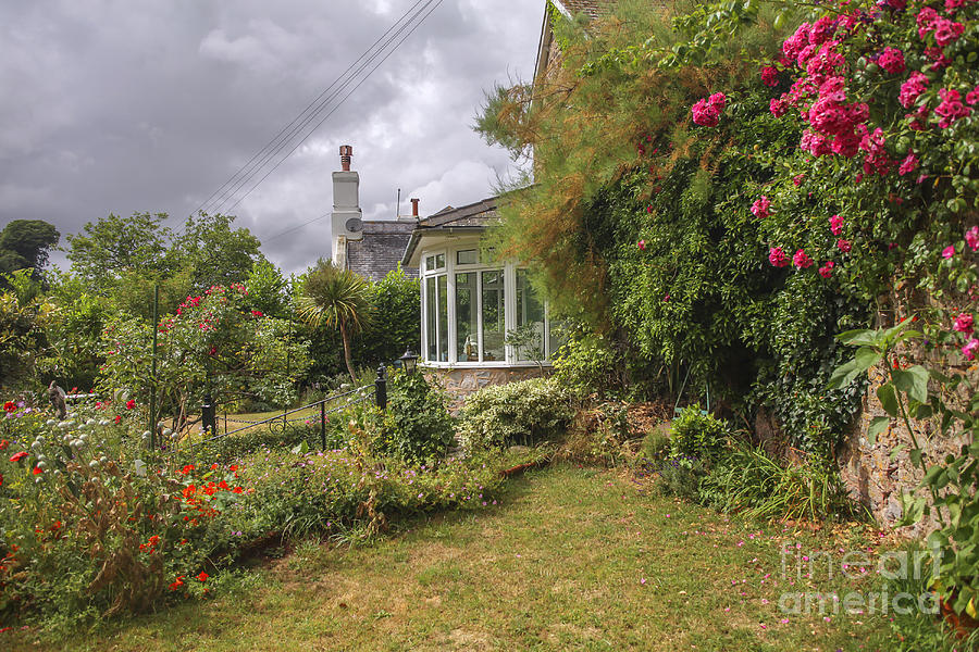 Rose garden near cottage in England Photograph by Patricia Hofmeester