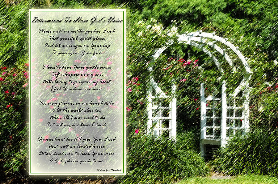 Rose Garden Prayer Photograph by Carolyn Marshall