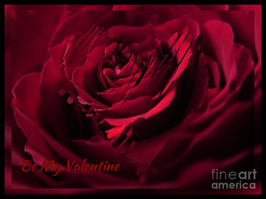 Rose Heart Valentine 2 Photograph by Joan-Violet Stretch