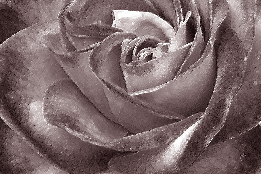 Black And White Photograph - Rose In Black And White by Ben and Raisa Gertsberg