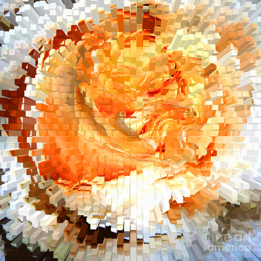 Rose In Bloom Digital Art by Alys Caviness-Gober