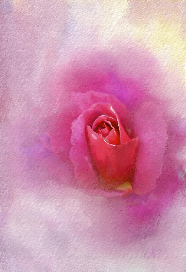 Rose in Bloom Digital Art by Dale Stillman