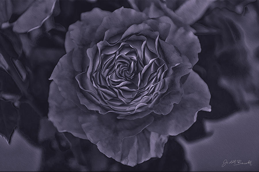 Rose in Purple Digital Art by Judith Barath