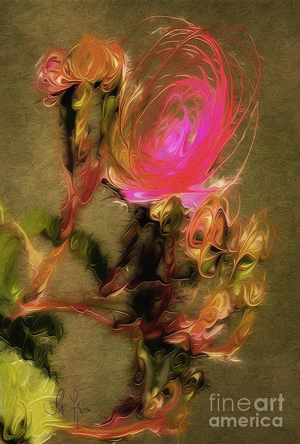 Rose Digital Art by Leo Symon