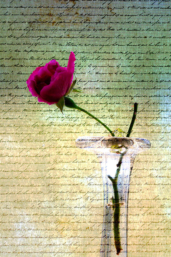 Rose Letters of Love Photograph by Marie Jamieson
