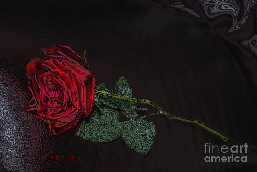 Rose. Love is... Digital Art by Oksana Semenchenko