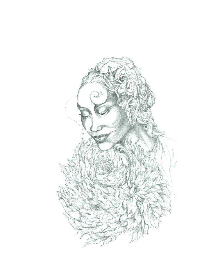 Rose Drawing - Rose of Grace and Kindness by Lydia Erickson Rose Drawing - Rose of Grace and Kindness by Lydia Erickson