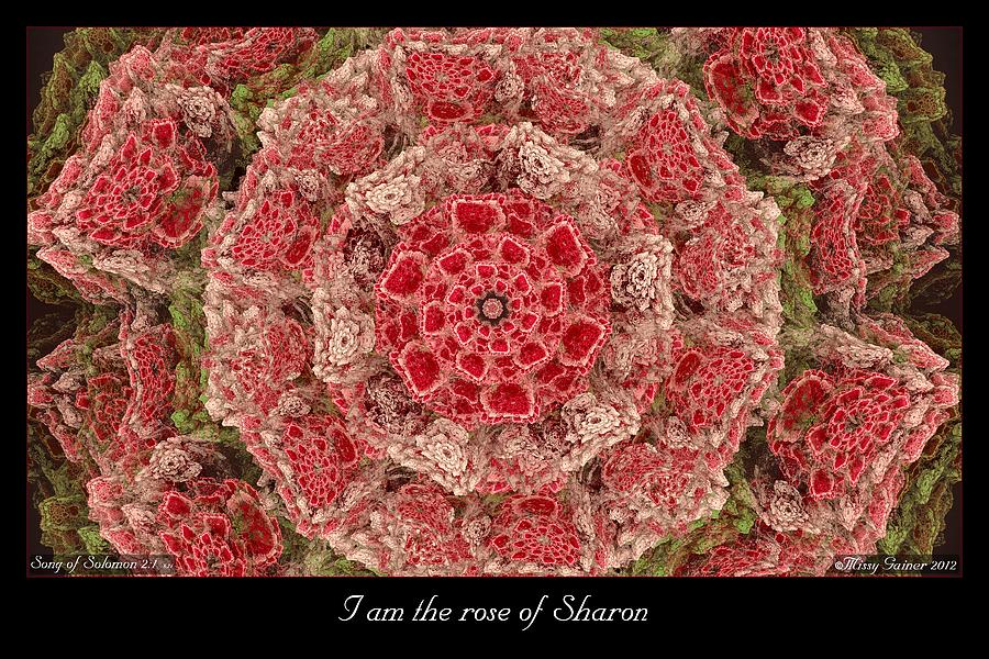Rose of Sharon Digital Art by Missy Gainer