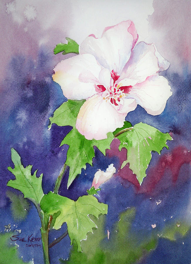 Rose of Sharon Painting by Sue Kemp