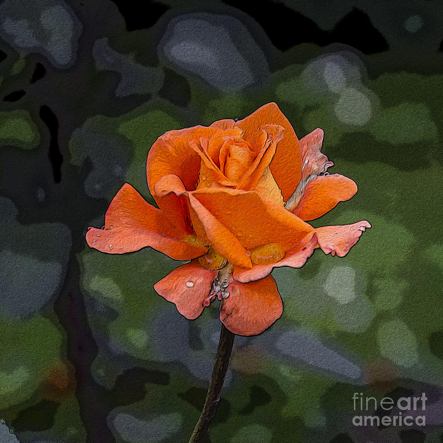 Rose Painting Digital Art by Pravine Chester