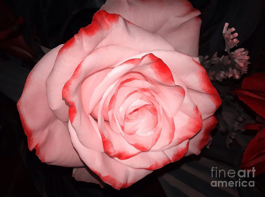 Rose Passion Pink Impression Photograph by Saundra Myles