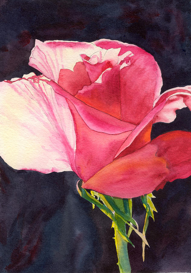 Rose Petals Alight Painting by Karen Lewis - Fine Art America