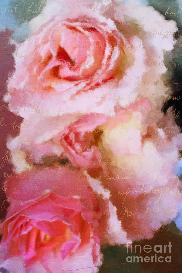 Rose Petals digital art montage Photograph by JBK Photo Art