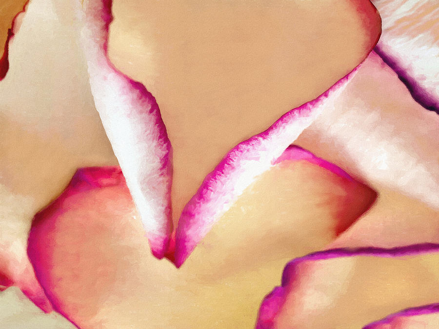 Abstract Photograph - Rose Petals Peach with Pink and Purple Edges by Bob and Nadine Johnston