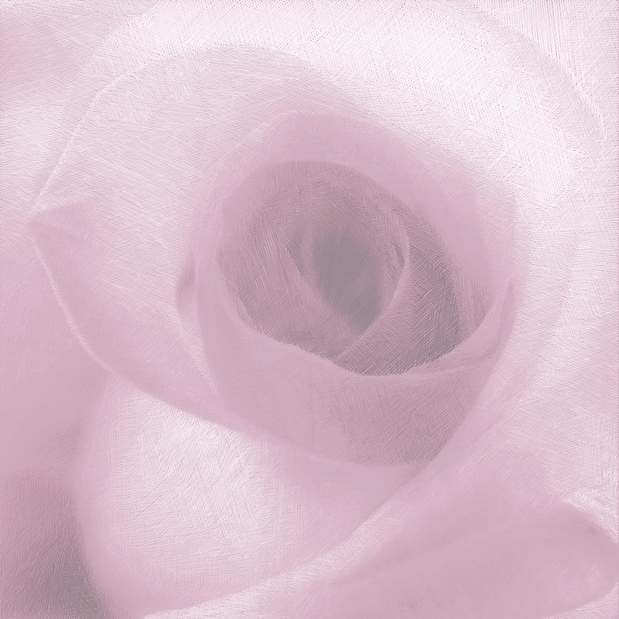 Rose Pink On White Painting by Tony Rubino