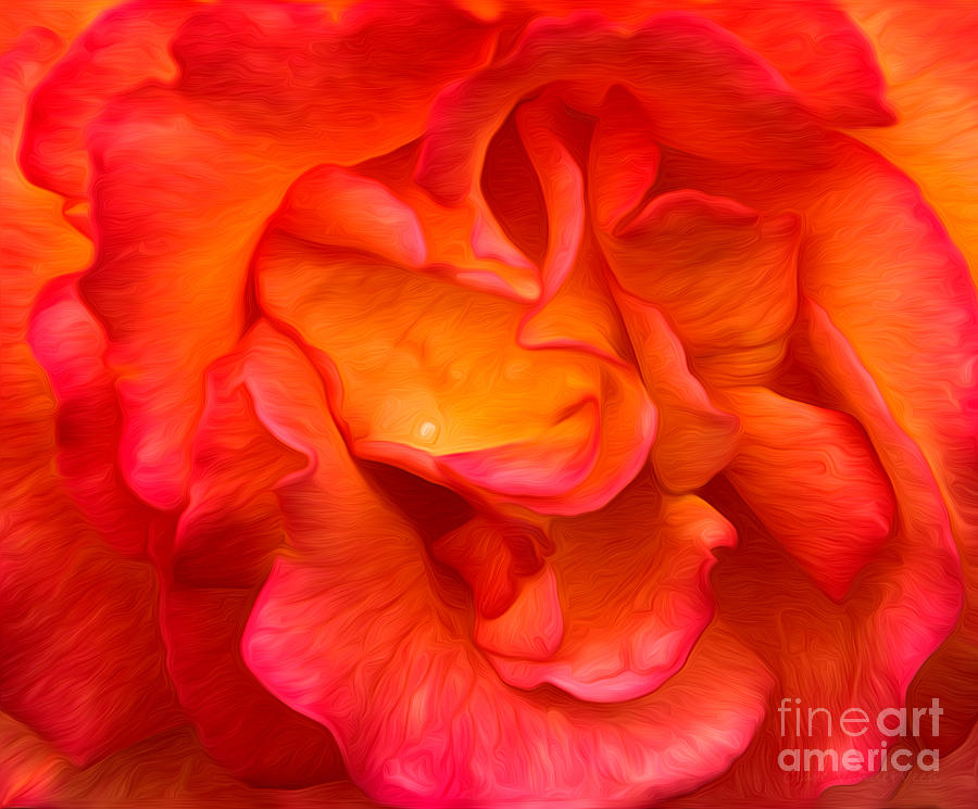 Rose Red Orange Yellow Photograph by Clare VanderVeen