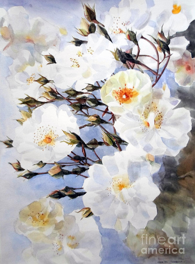 Flower Painting - Watercolor of White Roses on a Branch Steering Towards the Light by Greta Corens