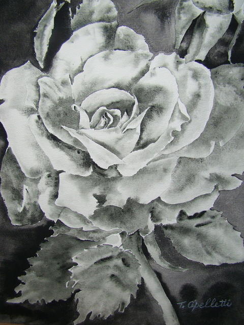 Rose Painting - Rose by Terry Cipelletti
